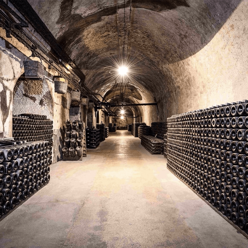 Visite de cave à vin à Reims lors d'un séminaire d'entreprise
