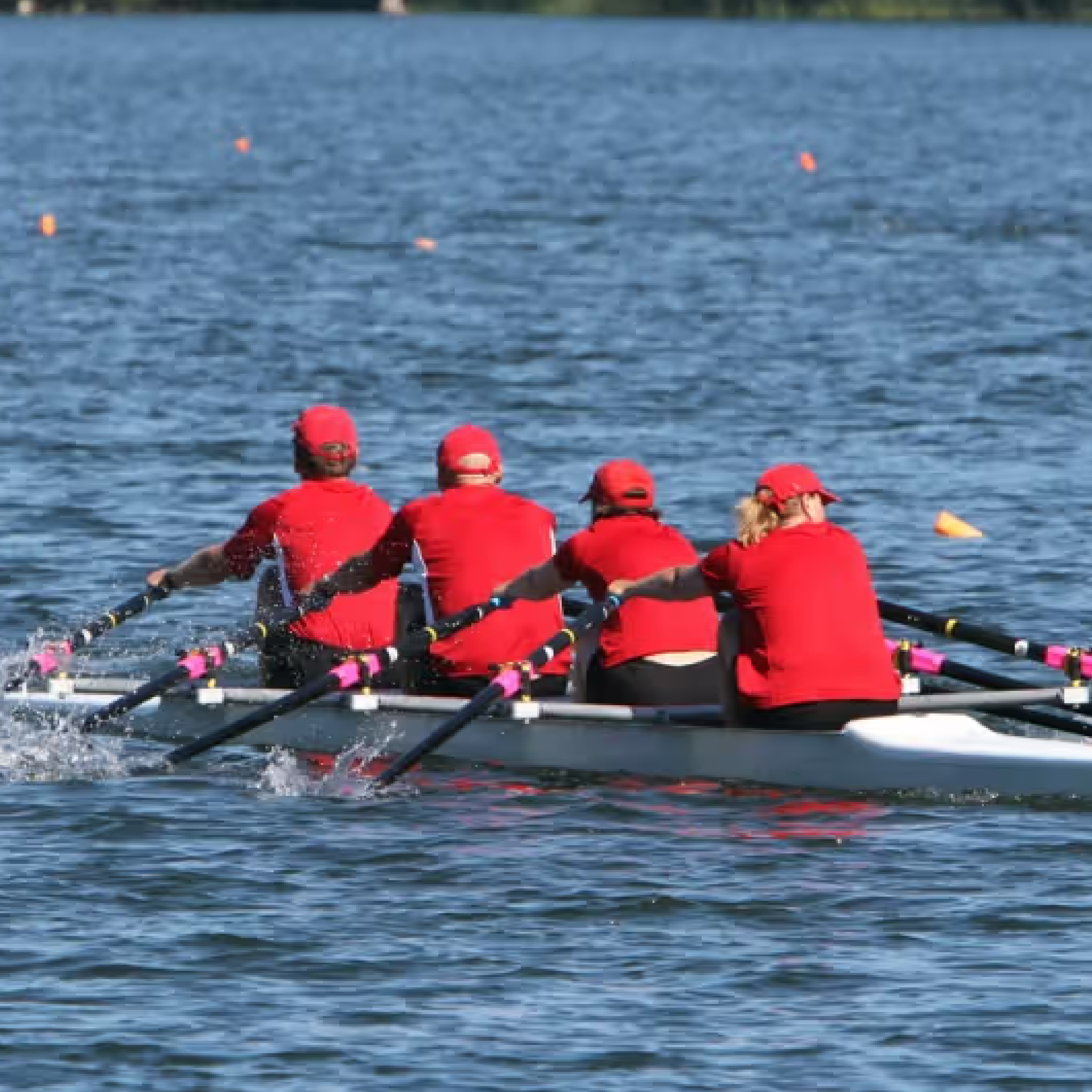 animation team building aviron