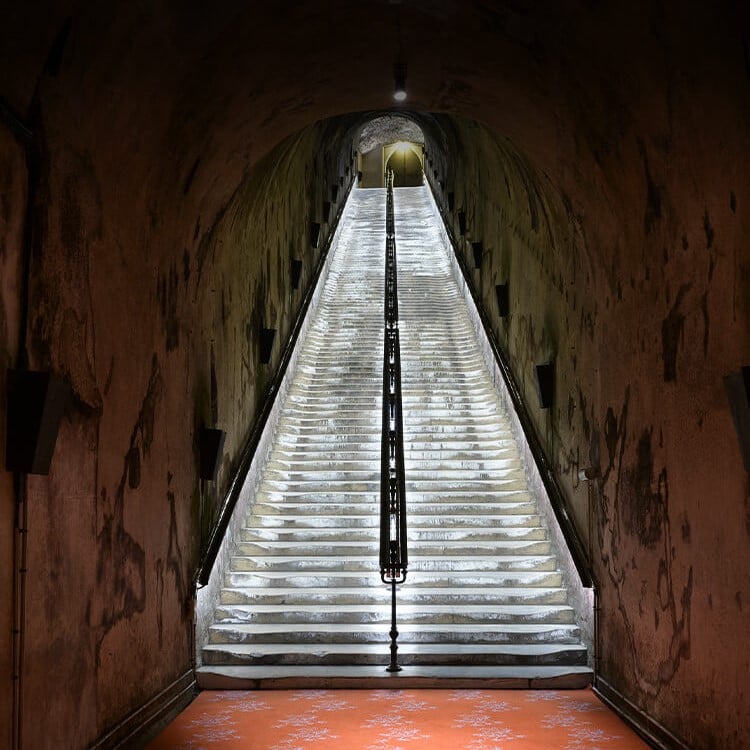 Visite de cave à vin à Reims pour une entrepise